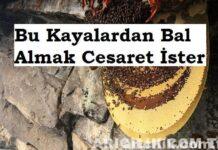 bu kayalardan bal almak cesaret ister 21