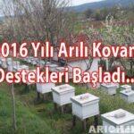 2016 Arılı Kovan Desteklemesi 2016 yılı arılı kovan desteklemeleri başladı