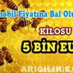 otomobil fiyatına bal olur mu