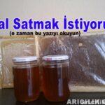 bal satmak istiyorum