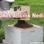 paket arıcılık nedir
