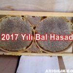 2017 yılı bal hasadı