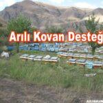 Arılı Kovan Desteği