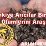 Türkiye Arıcılar Birliği Arı Ölümlerini Araştırdı Türkiye Arıcılar Birliği Arı Ölümlerini Araştırdı