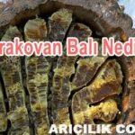 Karakovan Balı Nedir Karakovan Balı Nedir