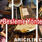 Arıları Besleme Yöntemleri