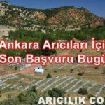 ankara arıcıları i̇çin son başvuru bugün