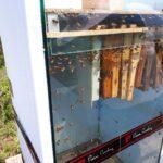 Camdan Arı Kovanı Nasıl Yapılır Camdan Arı Kovanı Nasıl Yapılır 9