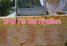 2018 Yılı Bal Fiyatları