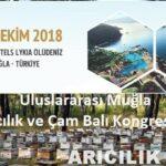 Fethiye Arıcılık Kongresi fethiye aricilik kongresi 2