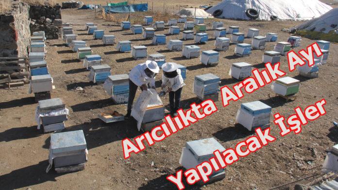 aralık ayı arıcılık çalışmaları