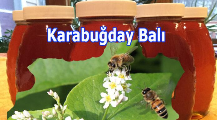 karabuğday balı 8