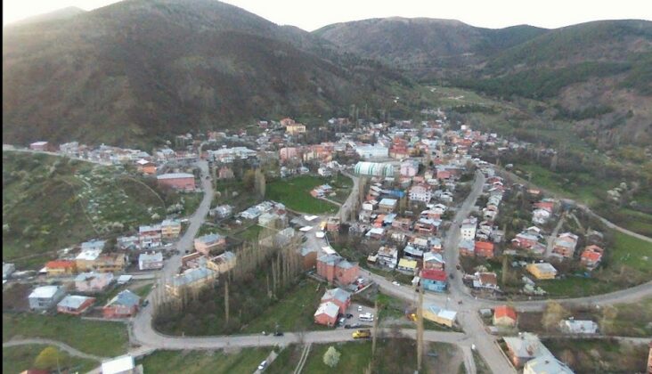 kafkas arısı nerede yaşar posof 3
