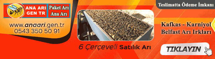 satılık arı ve paket arı