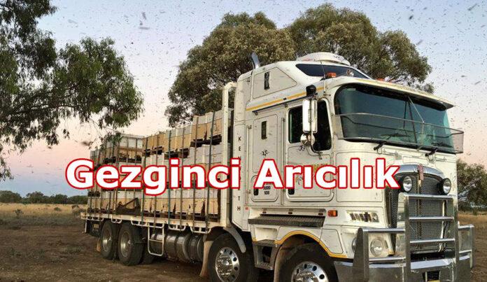 gezginci arıcılık