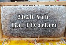 2020 yıl bal fiyatları