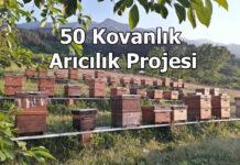 50 kovanlik aricilik projesi hakkinda