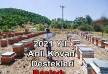 2021 yili arili kovan desteklemesi basladi 5