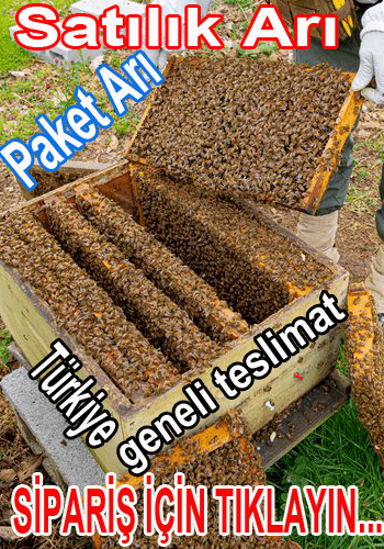 paket arı