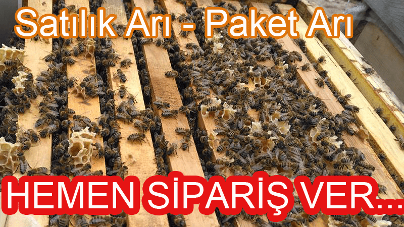 paket arı siparişi hakkında 3