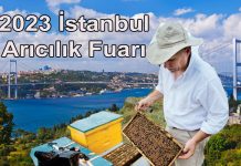 2023 istanbul aricilik fuari