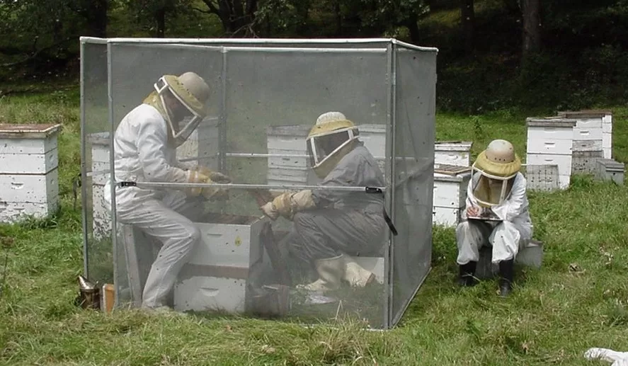 2023 yili aricilik fuari 4 jpg