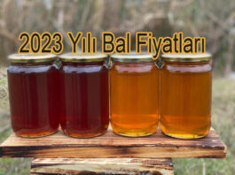 2023 yili bal fiyatlari