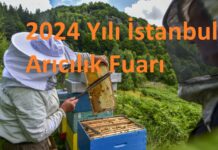 2024 yili istanbul aricilik fuari