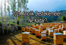 2024 aricilik desteklemeleri ne kadar