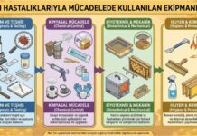 Arı Hastalıklarıyla Mücadelede Kullanılan Ekipmanlar Arı Hastalıkları