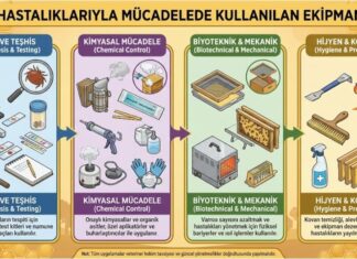 Arı Hastalıklarıyla Mücadelede Kullanılan Ekipmanlar Arı Hastalıkları