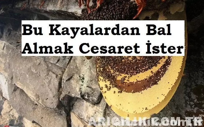 bu kayalardan bal almak cesaret ister 21
