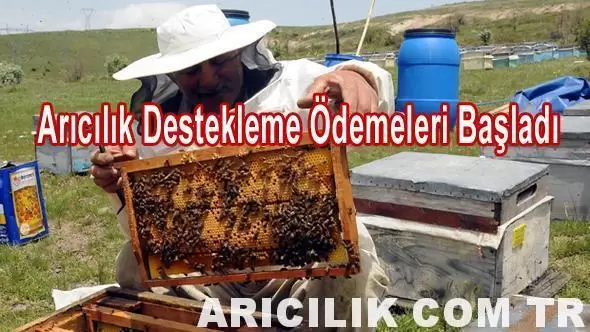Arıcılık Destekleme Ödemeleri Başladı